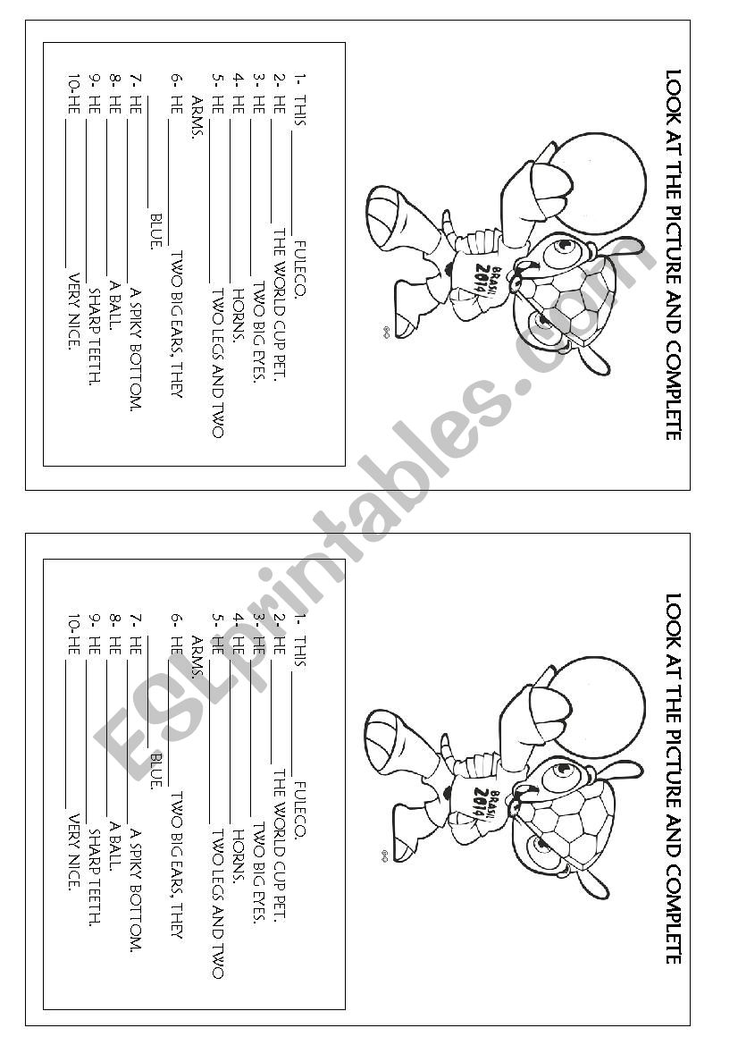 World cup pet worksheet