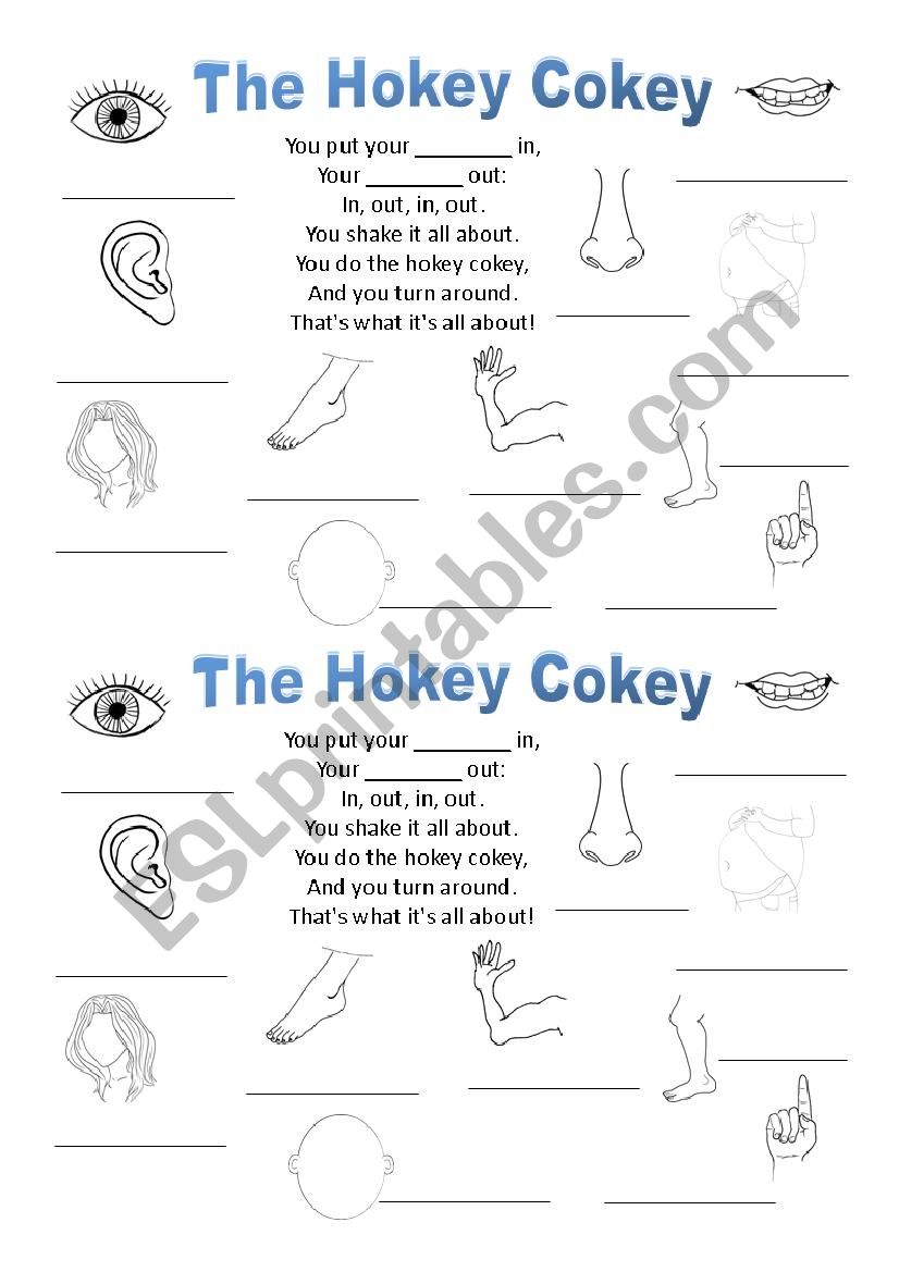 The Hokey Cokey worksheet