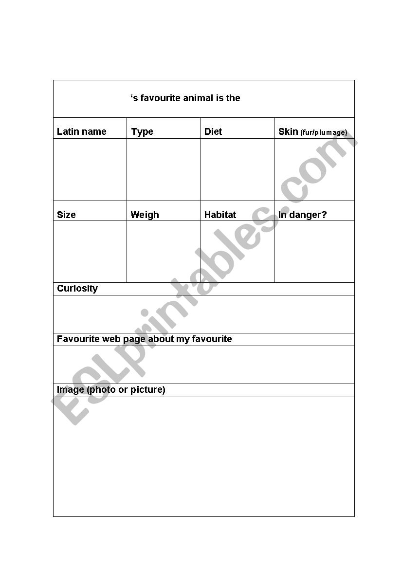 Favourite animal information worksheet