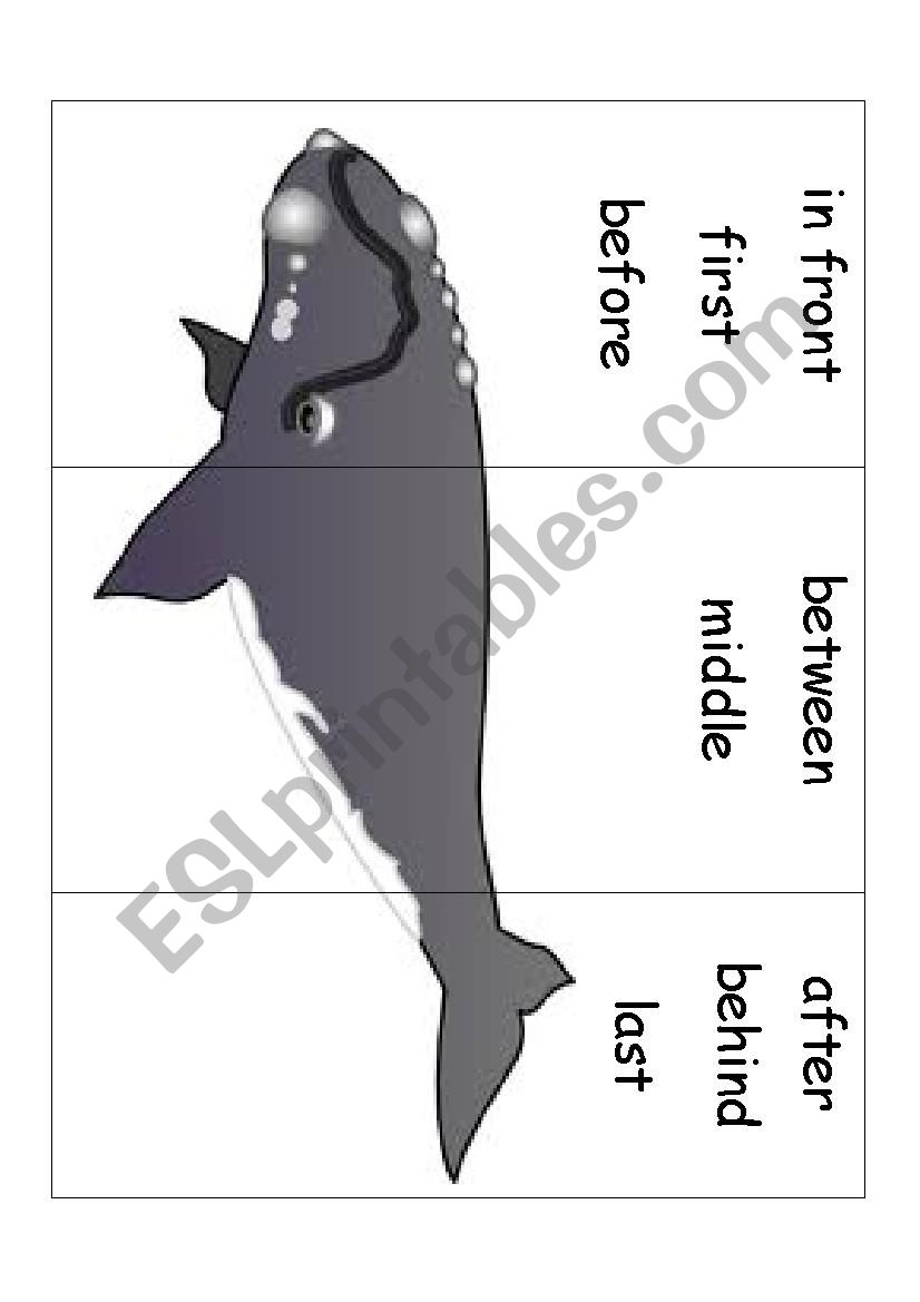 Posision 2 Whale worksheet