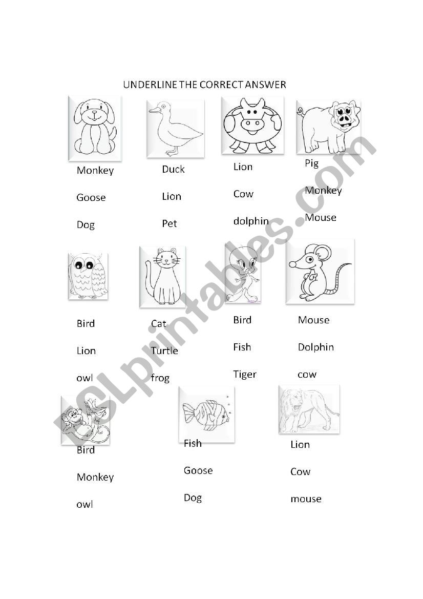 animals worksheet