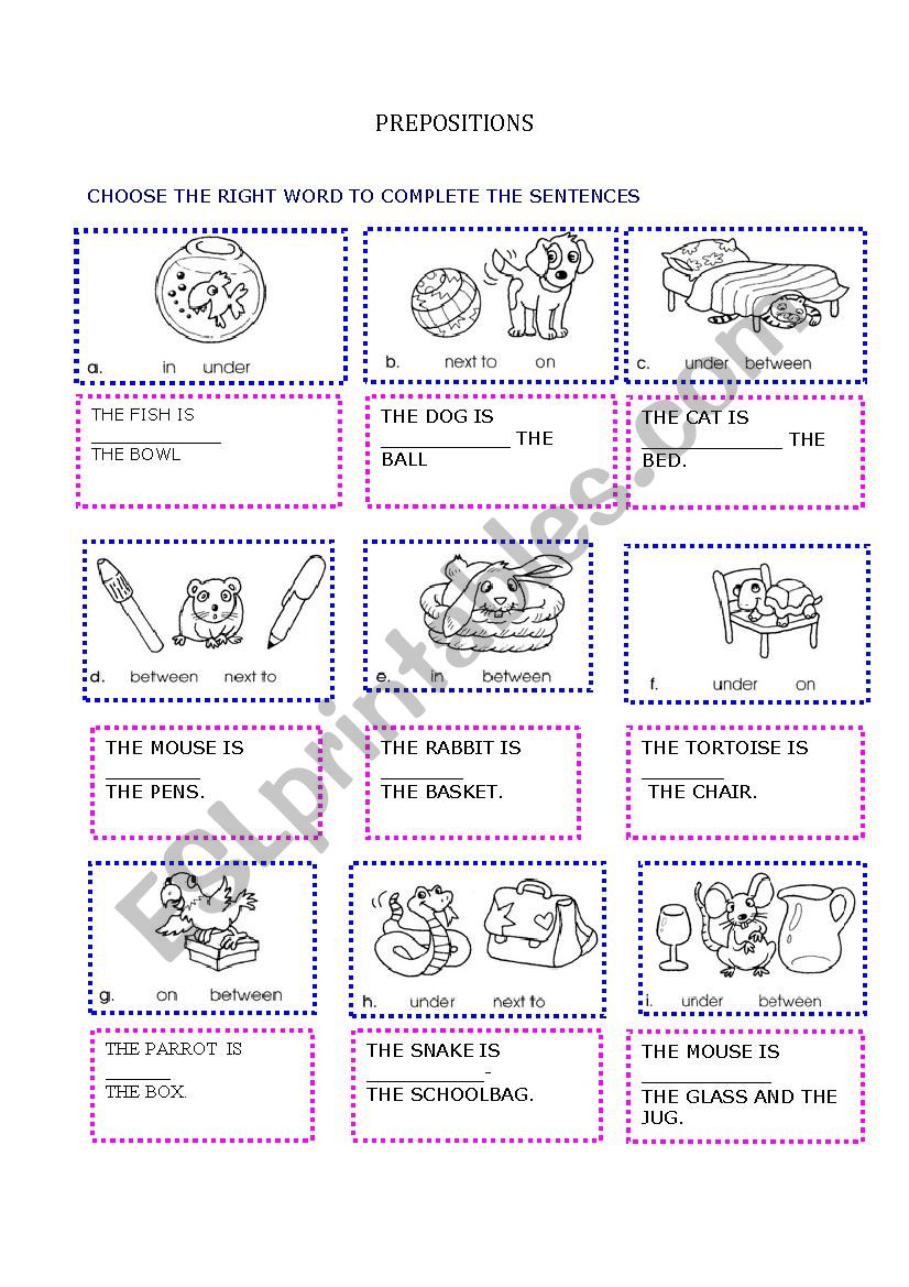 prepositions worksheet