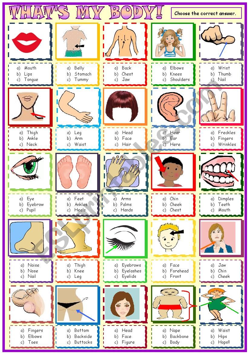 Body parts: Multiple choice activity