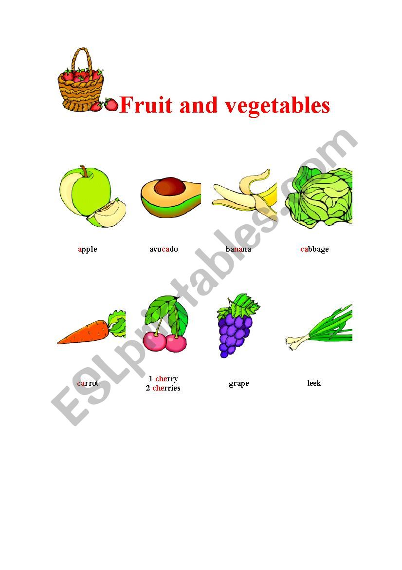 vocabulary worksheet