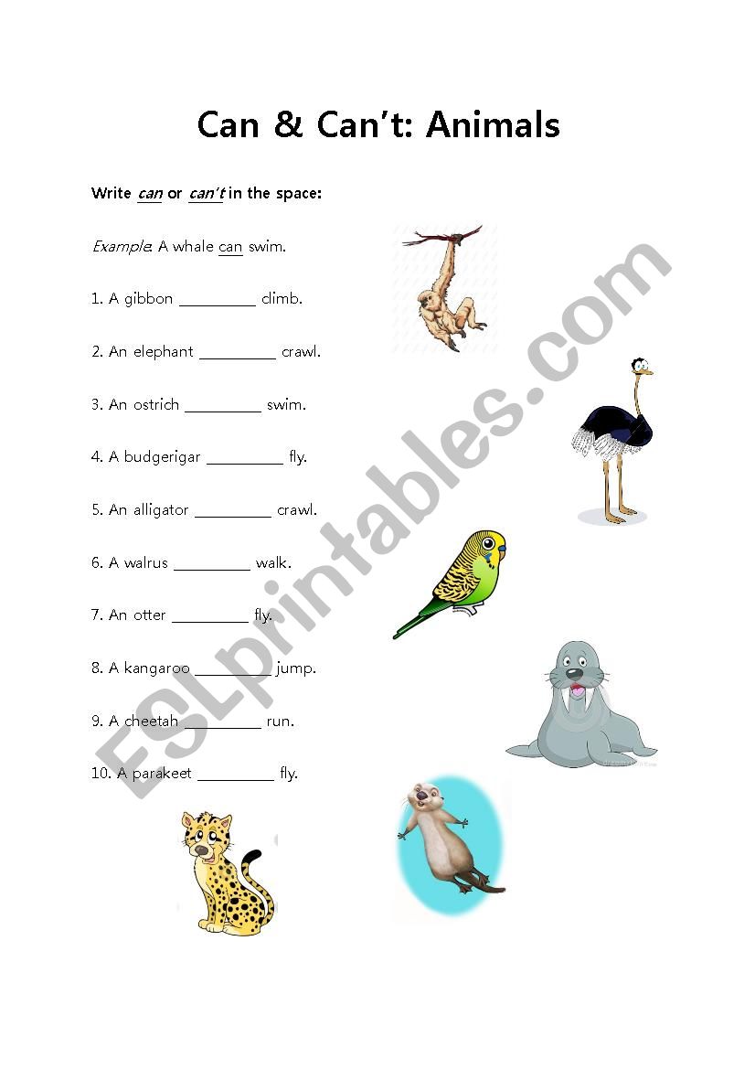 Can-Can´t Gap fill: Animals (and their abilities) - ESL worksheet by ...