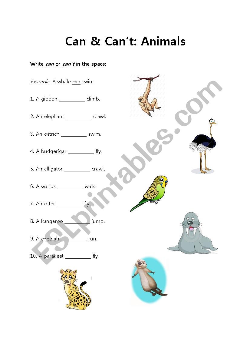 Can-Cant Gap fill: Animals (and their abilities)