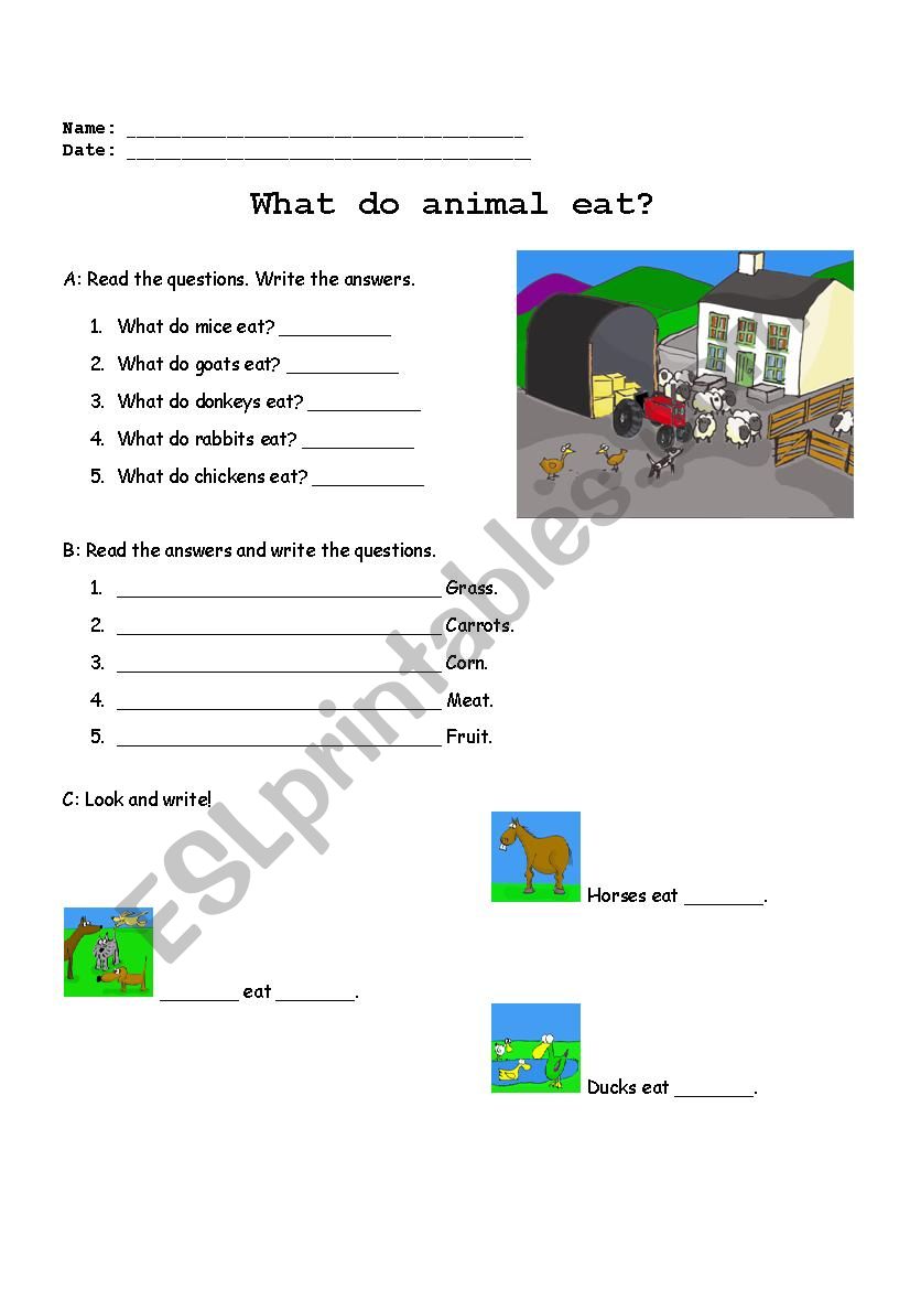 What do animals eat? worksheet