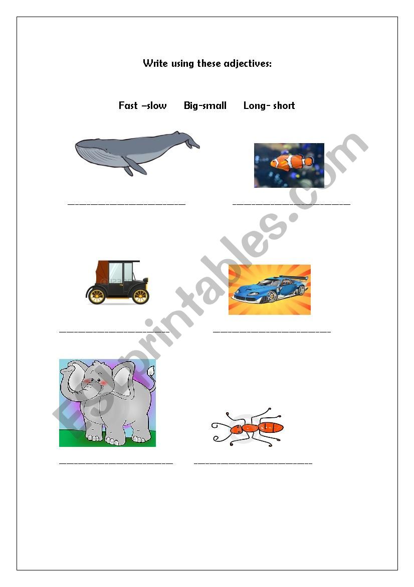 Write using these adjectives worksheet