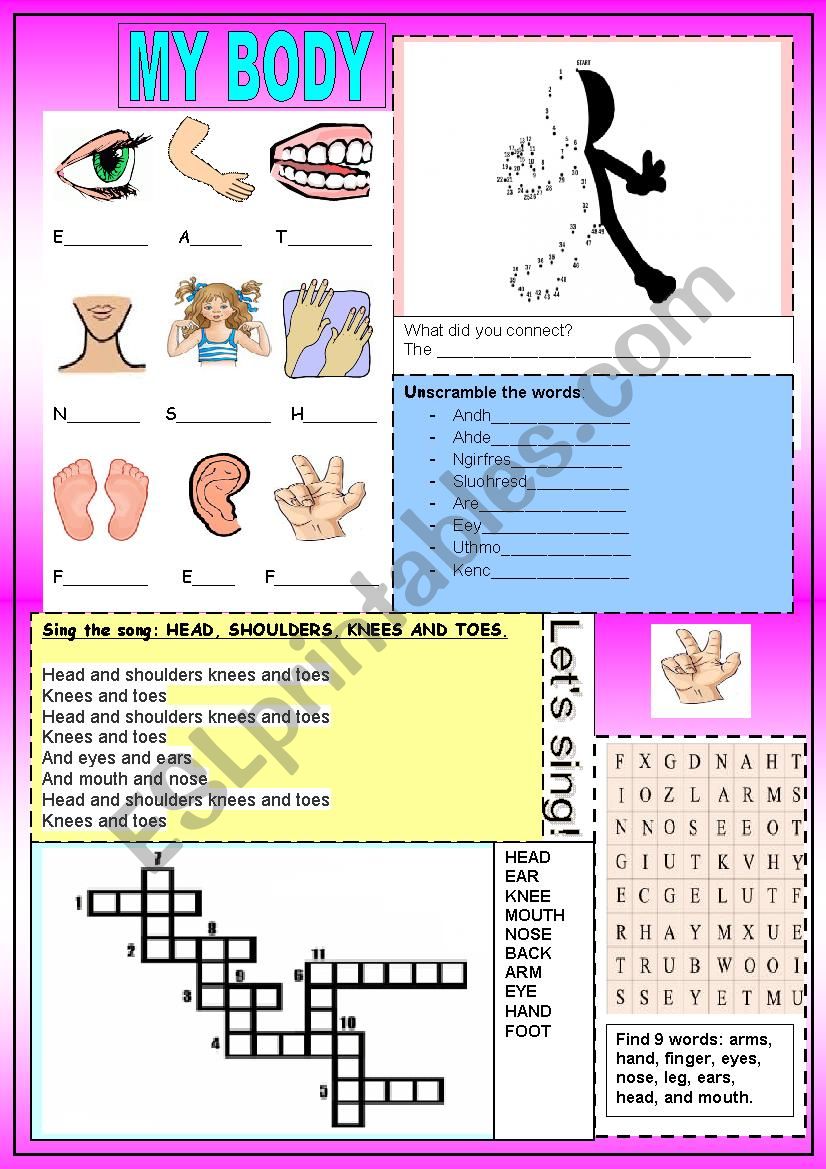 My body worksheet