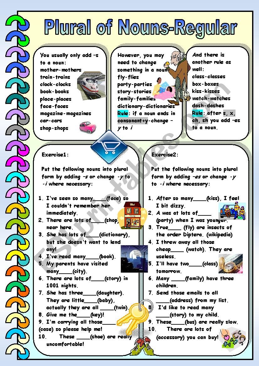 Plural of Nouns- Regular worksheet