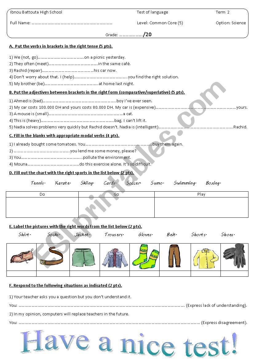 Test of language worksheet