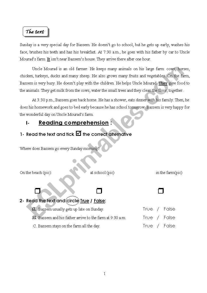 daily routine worksheet