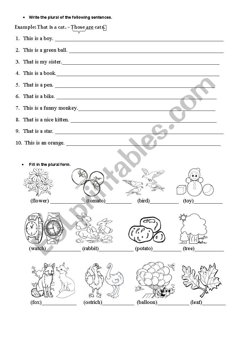 Plural form worksheet