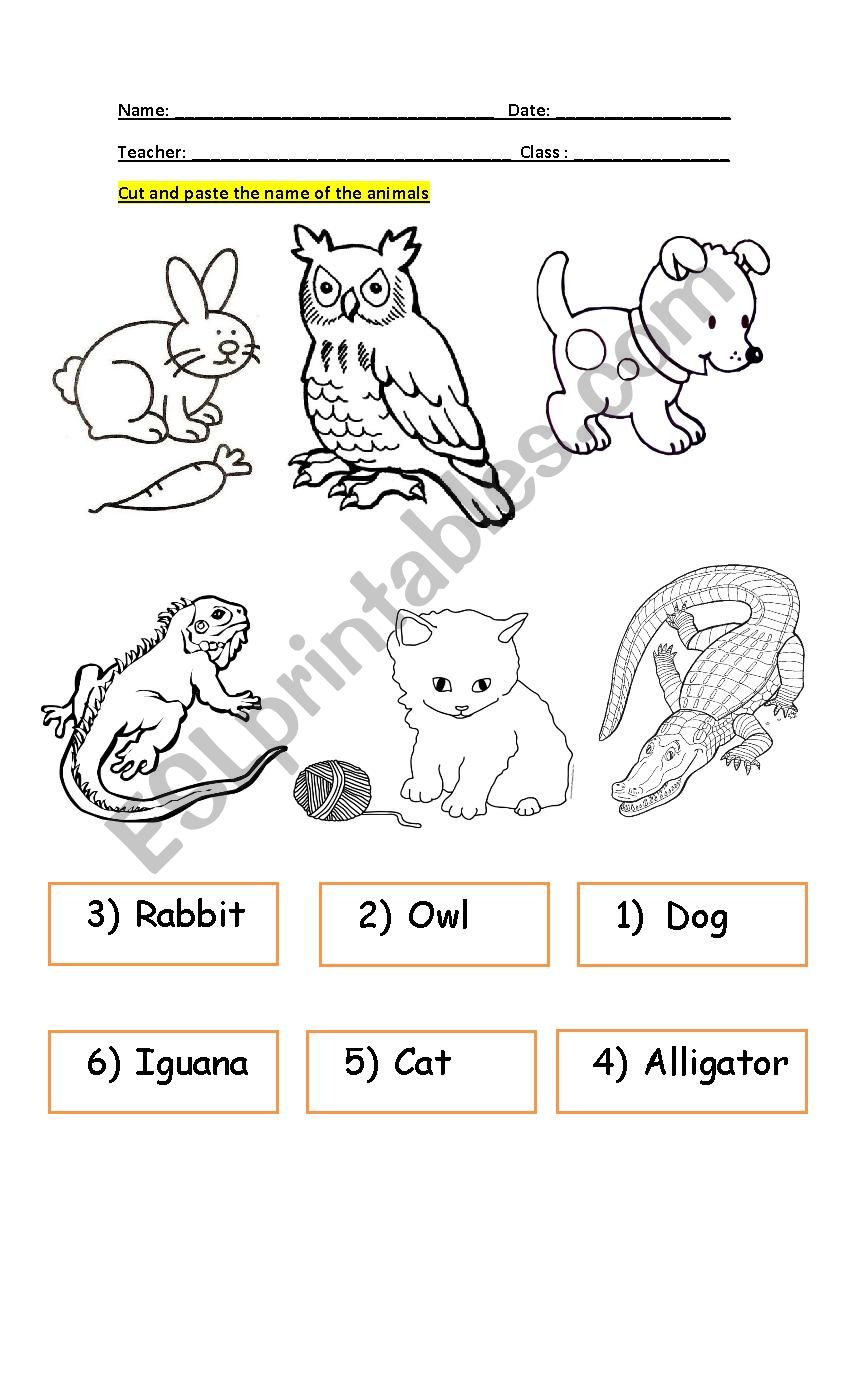 animals  worksheet