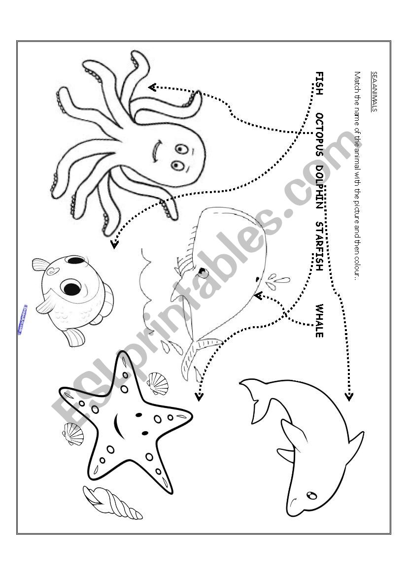 SEA ANIMALS worksheet