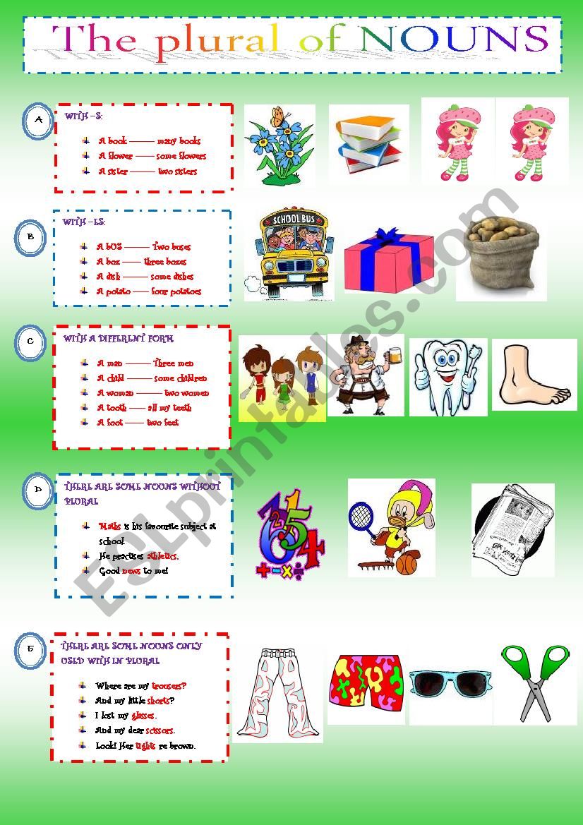 PLURAL OF NOUNS - GRAMMATICAL GUIDE