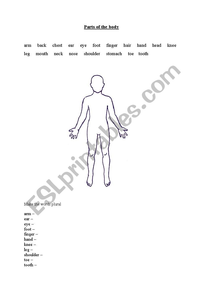 Parts of the body worksheet