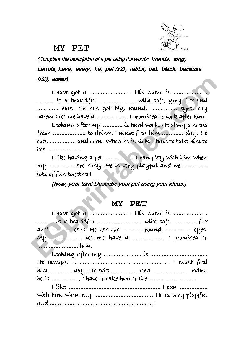 My pet worksheet