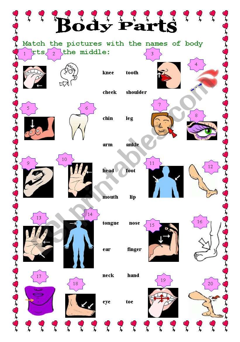 Body Parts worksheet