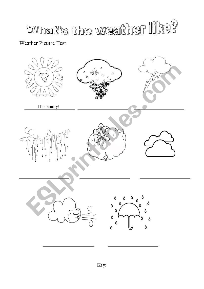 The Weather worksheet