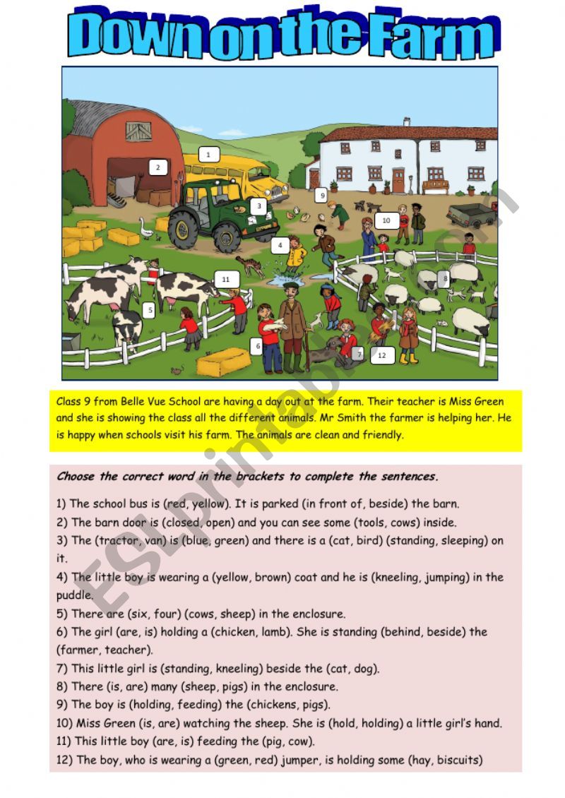 Down on the Farm worksheet