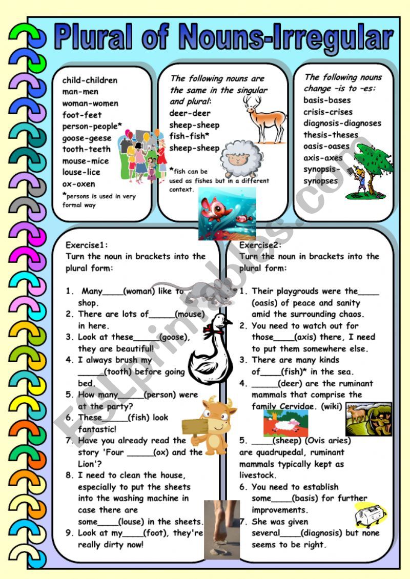 Plural of Nouns- Irregular worksheet