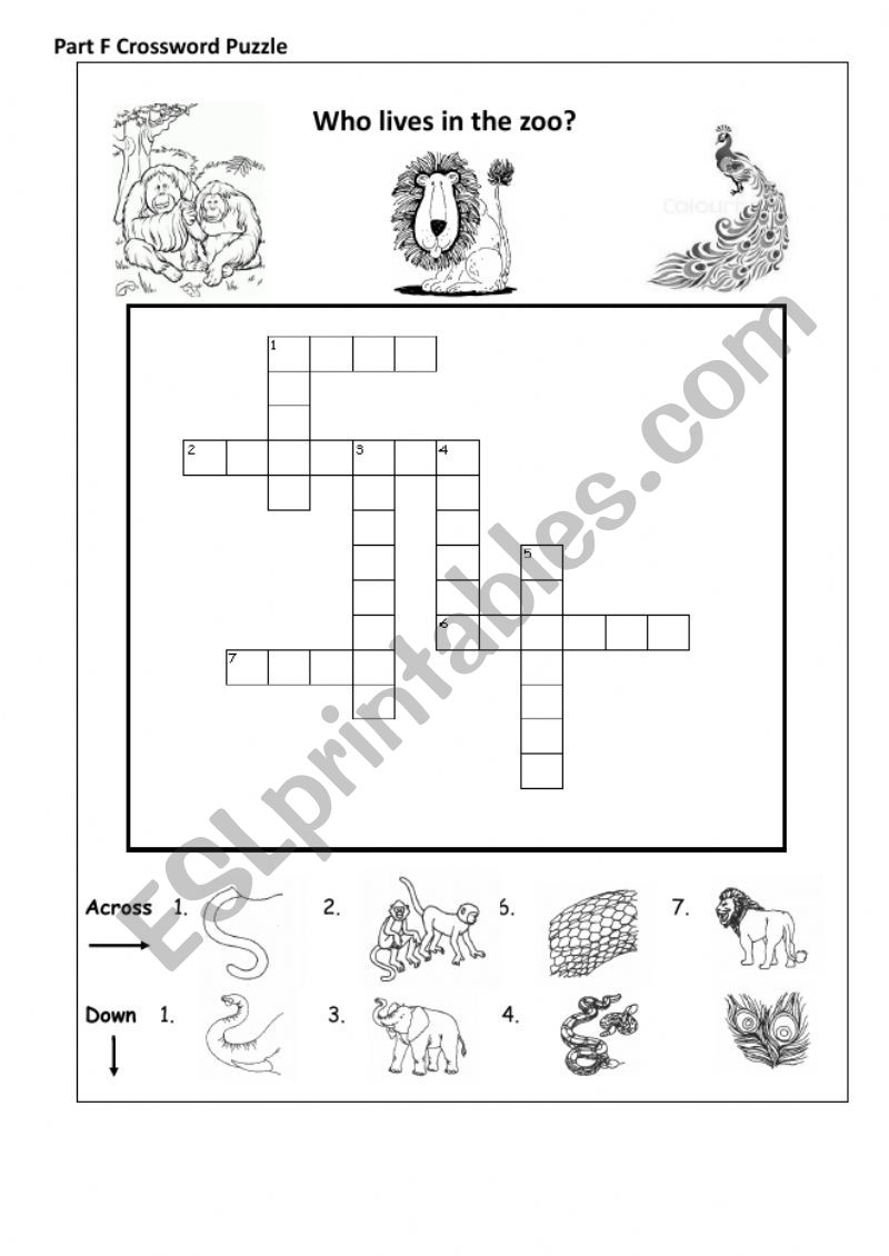 Crossword Puzzle worksheet