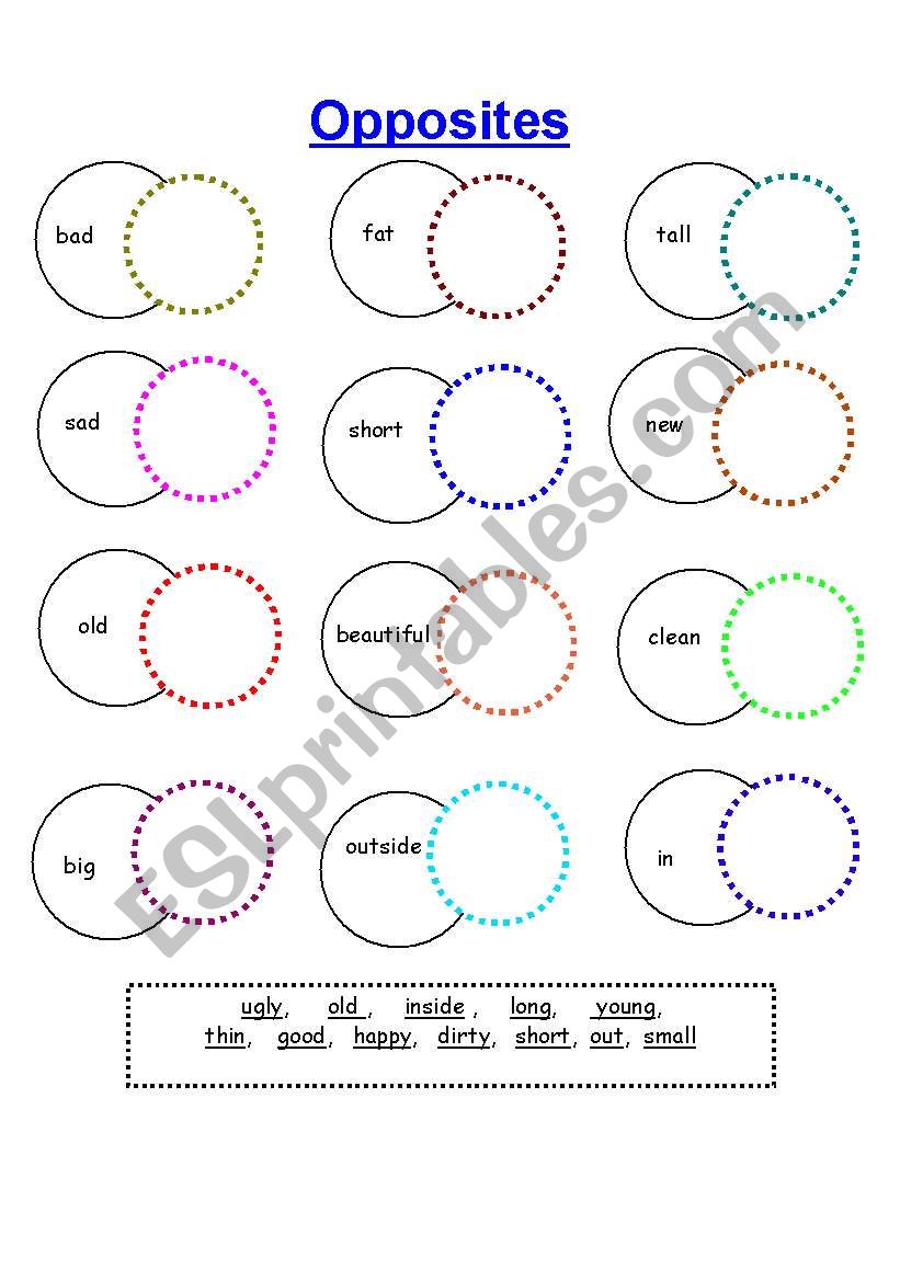 Opposites worksheet