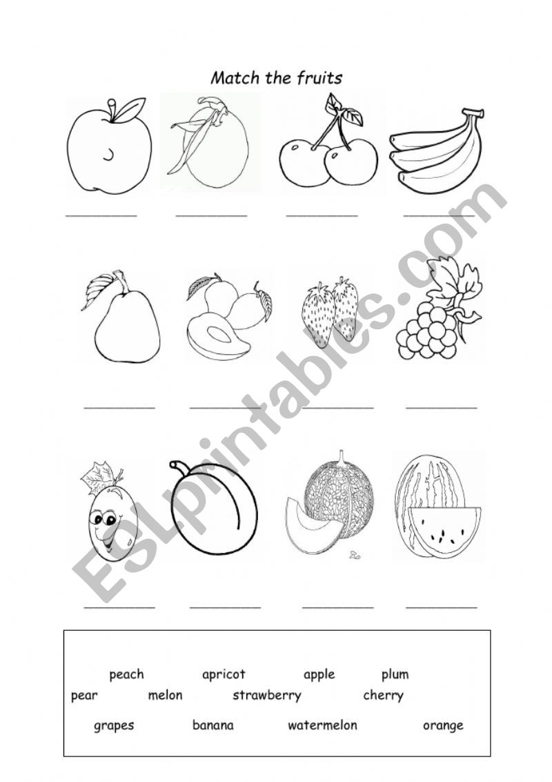 Fruits Worksheet worksheet