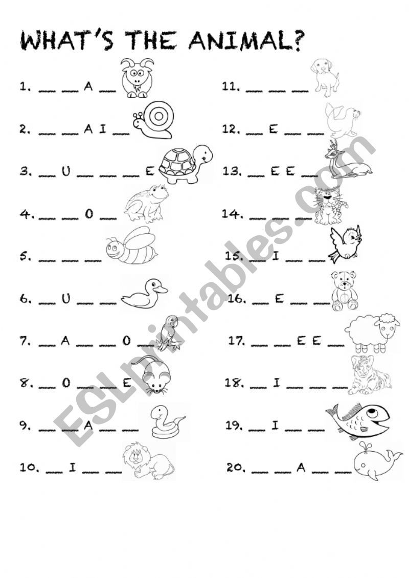 Whats the Animal? worksheet