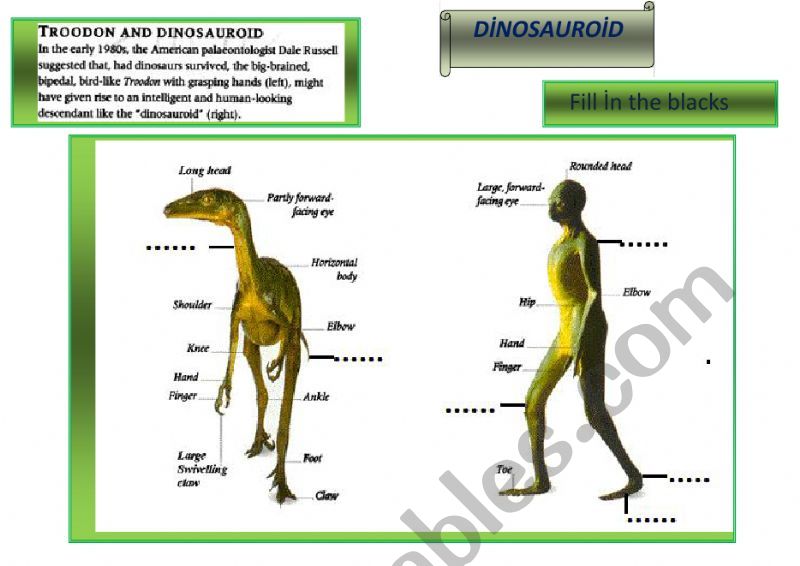 DNOSAUROD worksheet