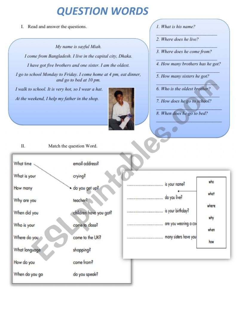 Question words worksheet