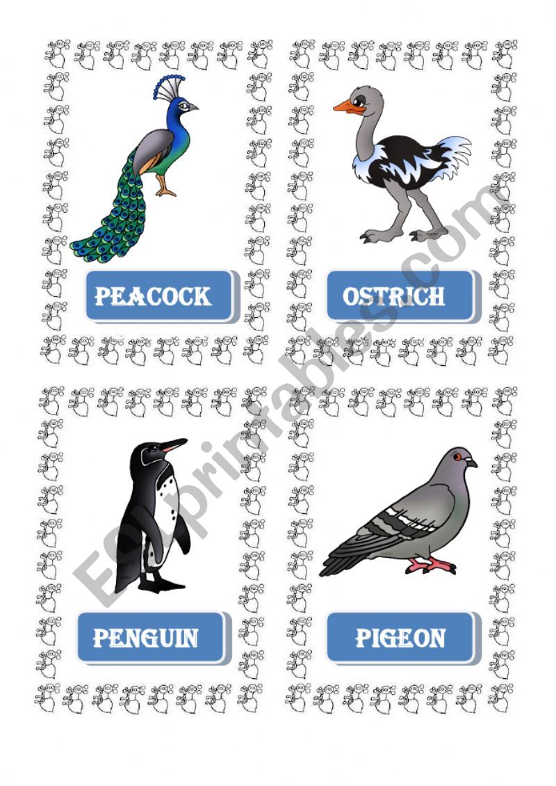 flashcard animals worksheet