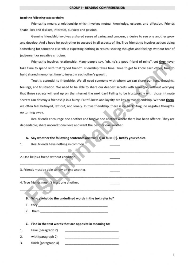 FRIENDSHIP - 9th  grade Test worksheet