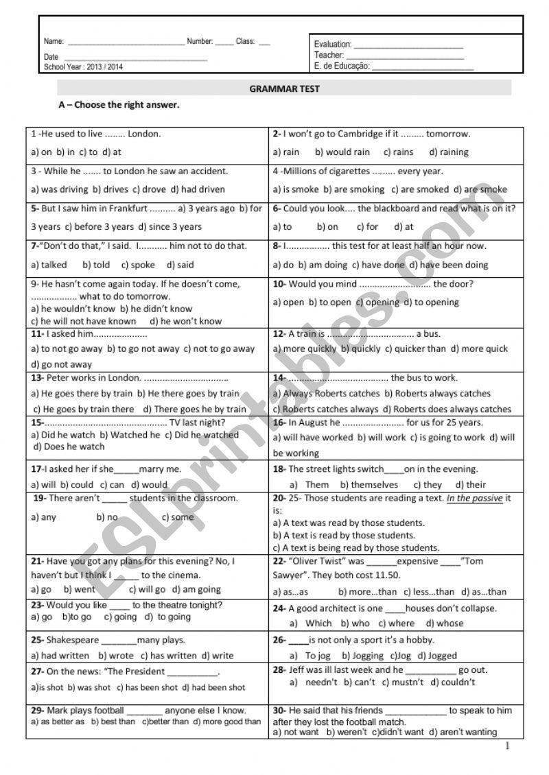 GRAMMAR TEST worksheet