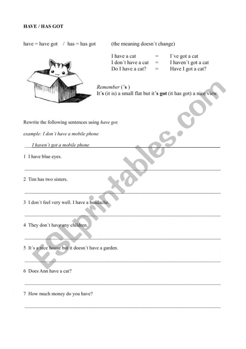 have/ has got worksheet