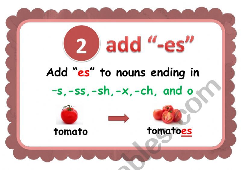 Rules of Plurals worksheet