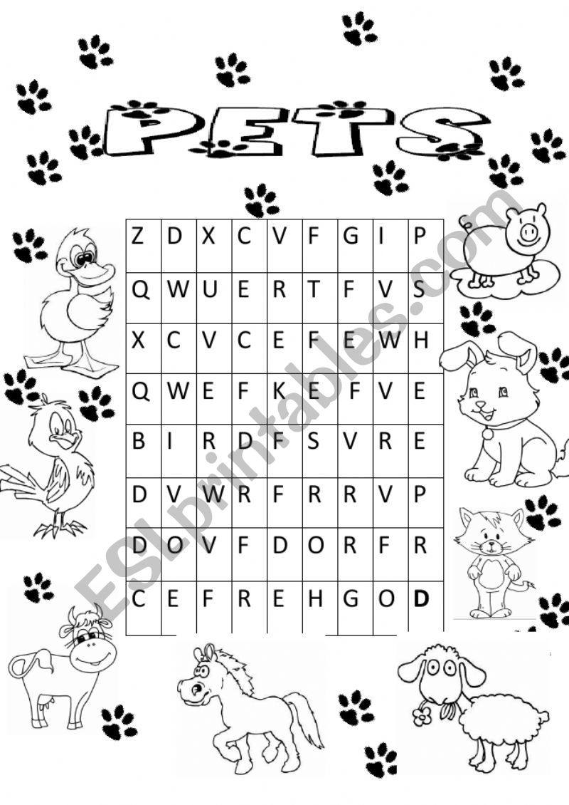 ANIMALS ACTIVITY worksheet