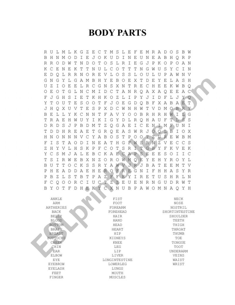 body parts wordsearch worksheet