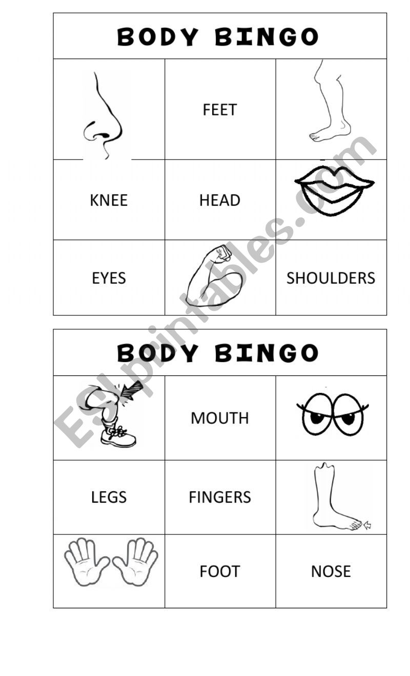 Body bingo worksheet