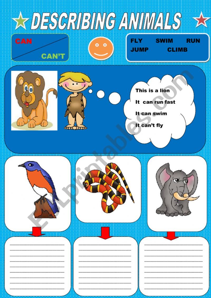 Describing animals worksheet