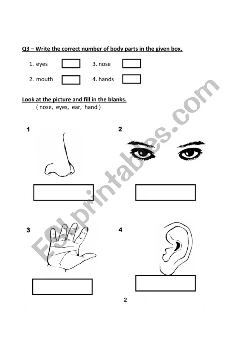Test paper worksheet