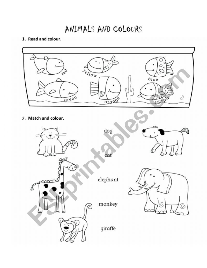 Animals and Colours worksheet worksheet