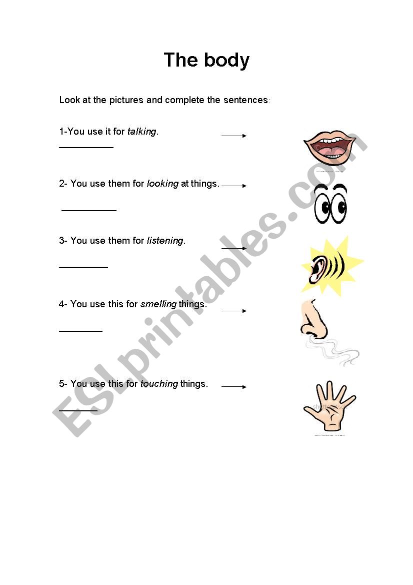 The Body worksheet