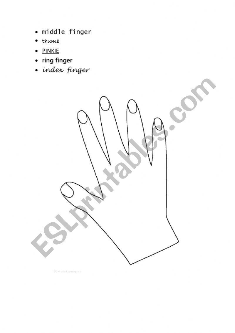 hand -fingers  worksheet