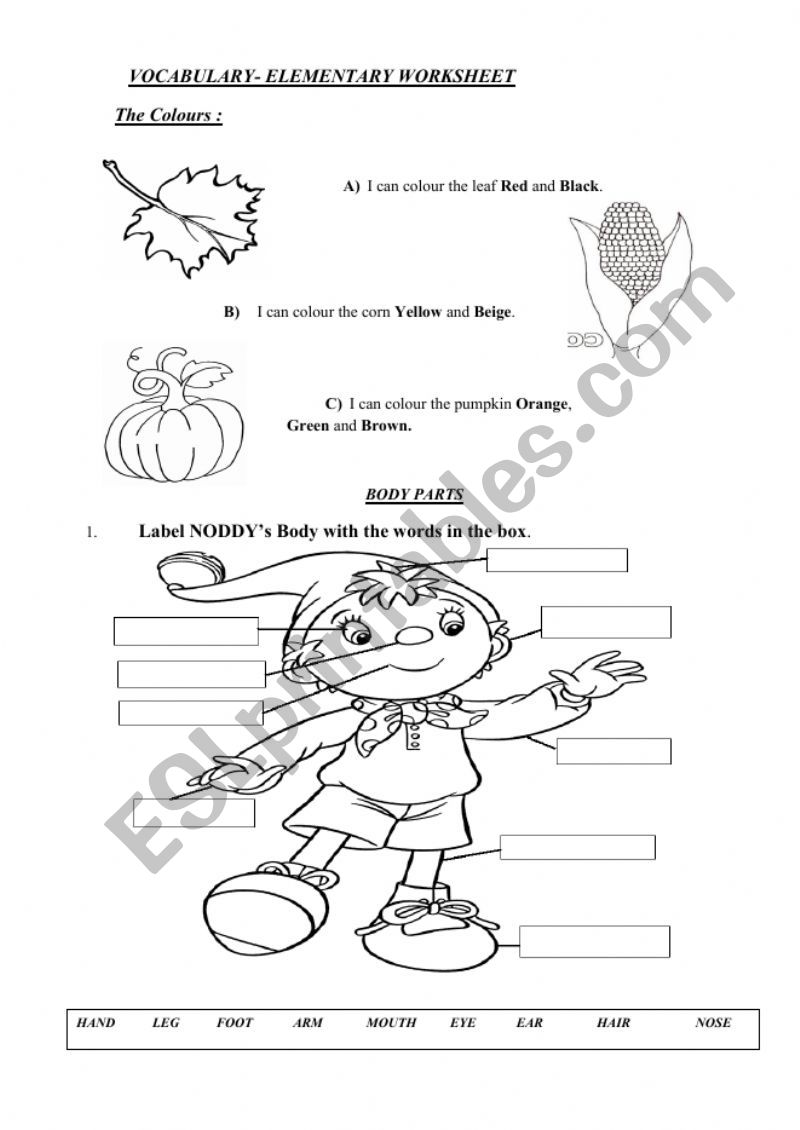 Elementary Worksheet worksheet
