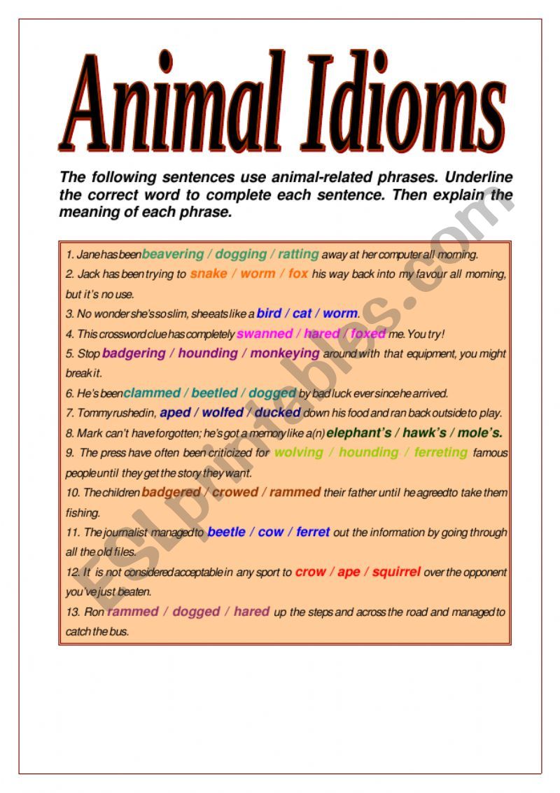 Animal idioms worksheet