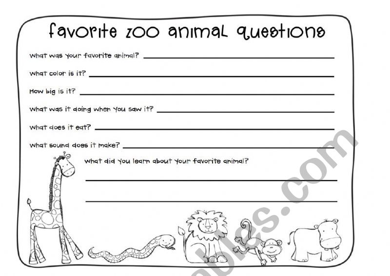 favorite zoo animal questions worksheet