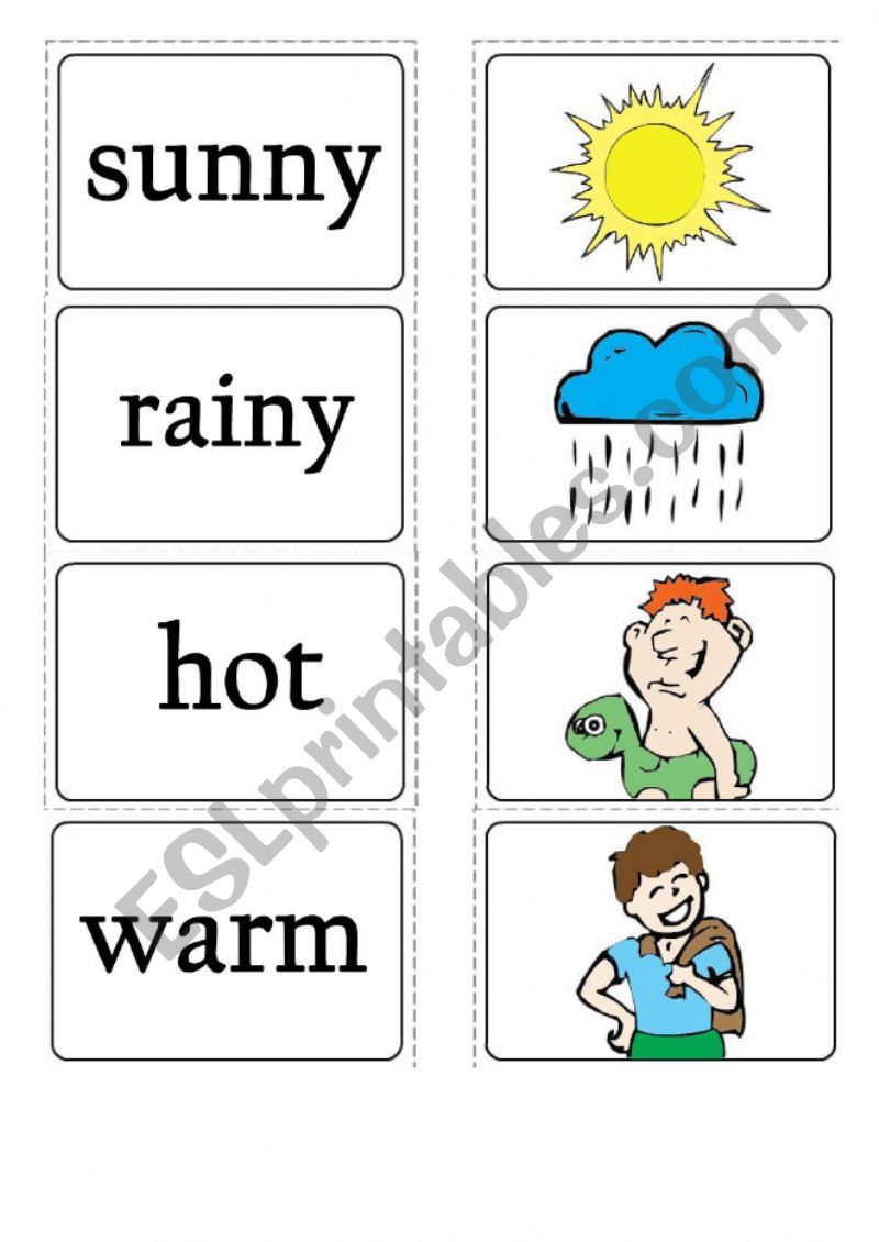 Weather Flashcards worksheet