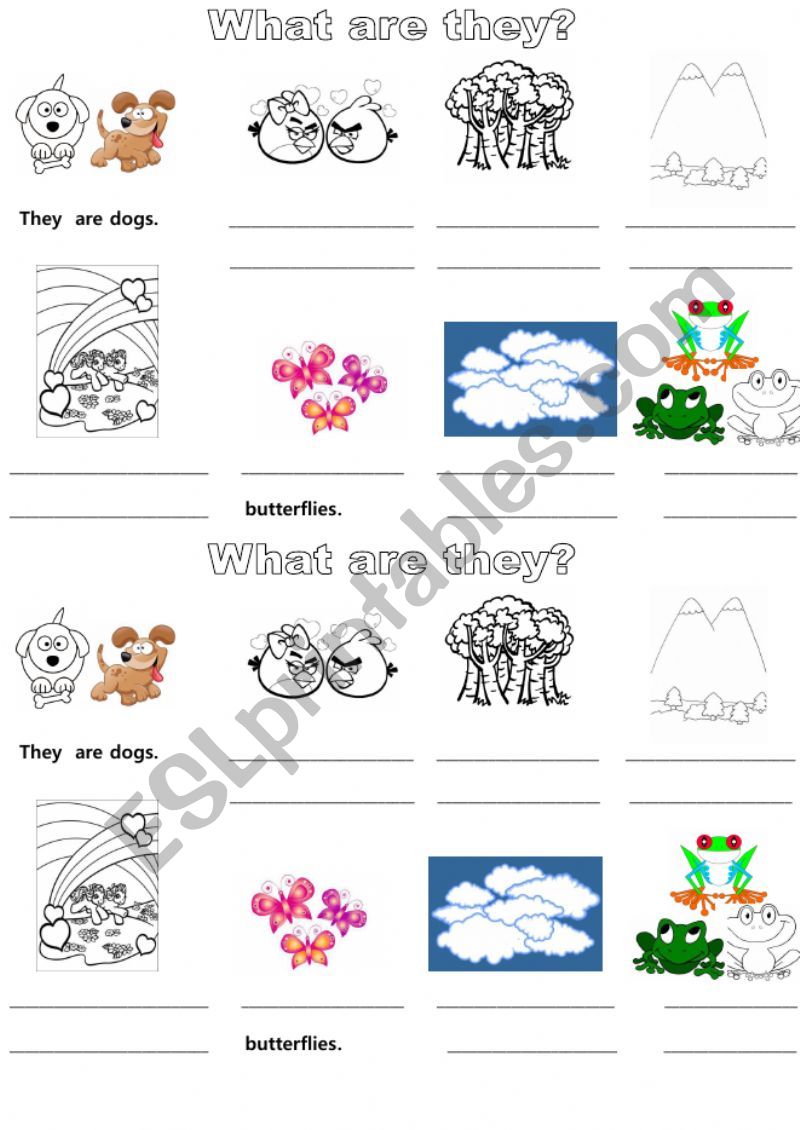 what are they? worksheet